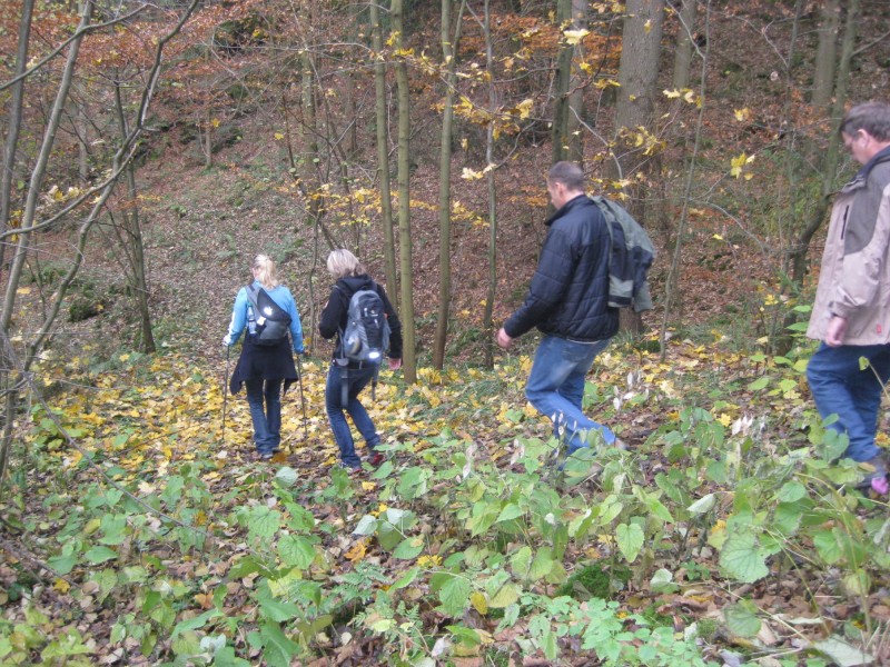 bad berneck fgv tour