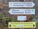 img wa0082