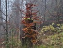 img wa0083