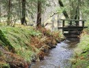 img wa0093
