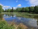 img wa0008
