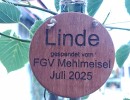 img 20250716